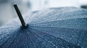 macro_drops_umbrella_rain_ultra